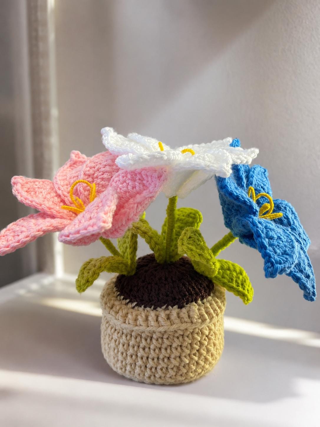 Handmade Crochet Flower Pot, Colourful Everlasting Floral Decor, Home Desk Accent