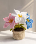 Handmade Crochet Flower Pot, Colourful Everlasting Floral Decor, Home Desk Accent